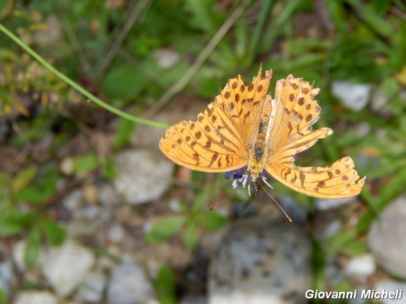 Parco del Ticino : incontri del 7/9/14